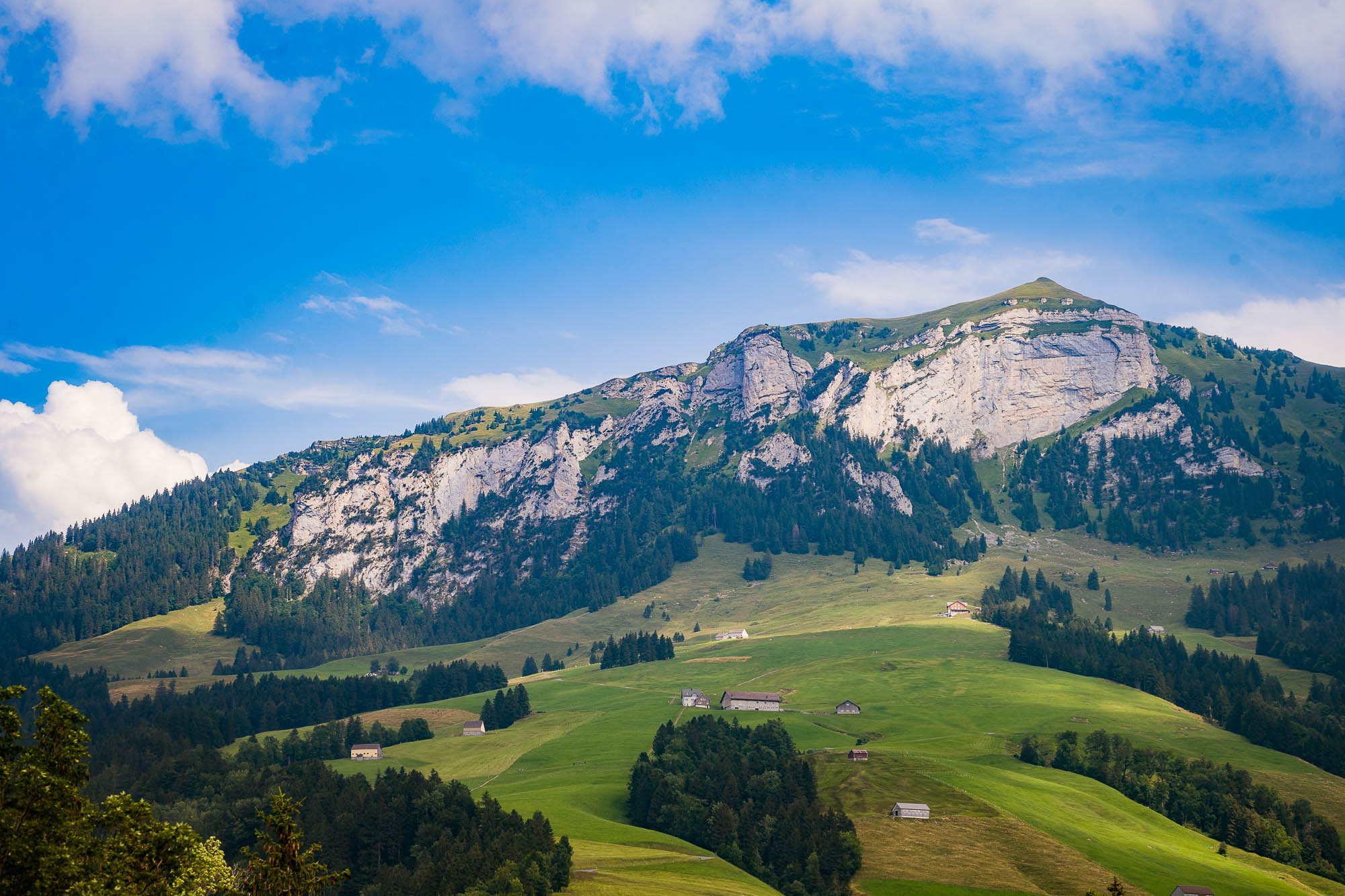 Export x3 1DX21984 Hochzeit 2019 Jenny & Daniel